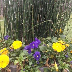 Meet your Posher, April